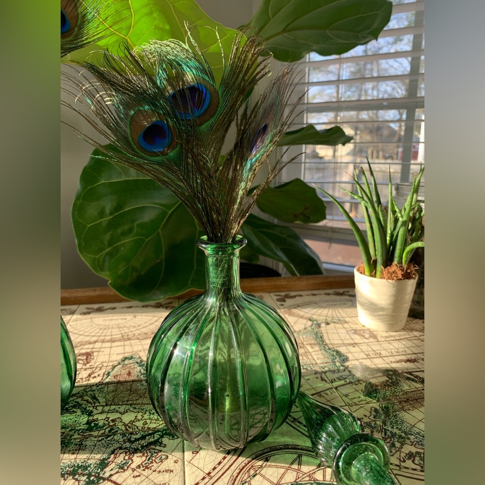 Colorful green vase with peacock feathers